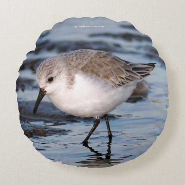 Porträt eines Sanderlings Rundes Kissen (Vorderseite)