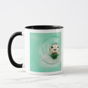 Porträt eines Siegels im Wasser Tasse