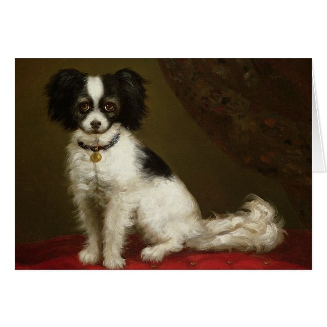 Porträt eines Spaniel (Vorderseite (Horizontal))