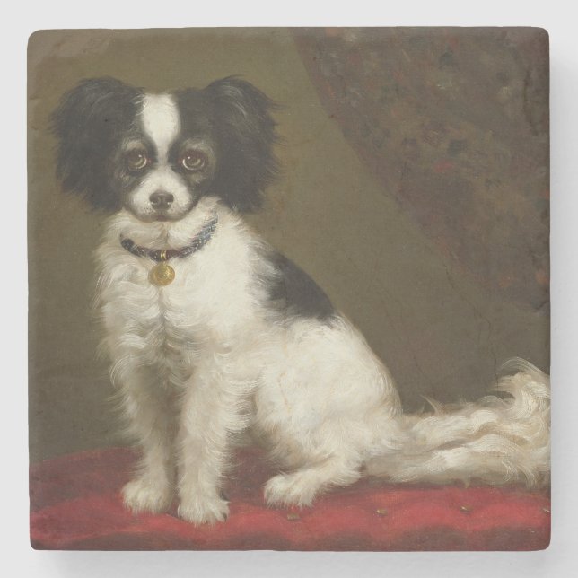 Porträt eines Spaniel Steinuntersetzer (Vorderseite)