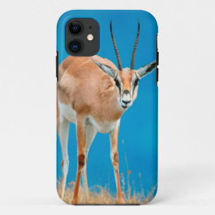 Porträt eines weiblichen Grant-Gazelle (Gazella Gr Case-Mate iPhone Hülle