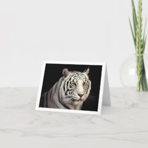 Porträt eines weißen bengalischen Tigers Karte