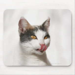 Porträt eines weißen Katzenleckens Mousepad