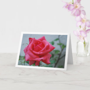 Porträt mit rosa Rose Karte