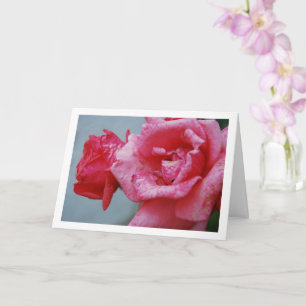 Porträt mit rosa Rosen Karte
