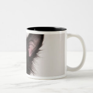 Porträt Schwarzweiss-die Zweifarbige Tasse