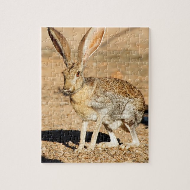 Porträt von Antelope Jackkanbit, Arizona (Vertikal)