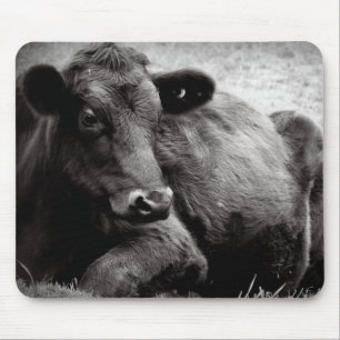 Porträt von einem Angus Mousepad