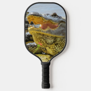 Porträt von Florida wild lebenden Tieren Pickleball Schläger