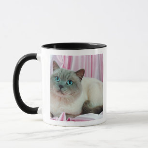 Porträt von Katze 4 Tasse