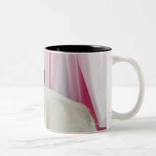 Porträt von Katze 4 Zweifarbige Tasse