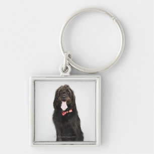 Porträt von Labradoodle Hund Schlüsselanhänger