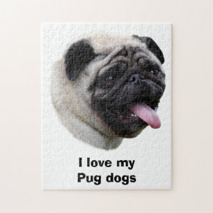 Porträt von Mops-Hund-Foto