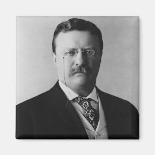 Porträt von Präsident Theodore Roosevelt Magnet