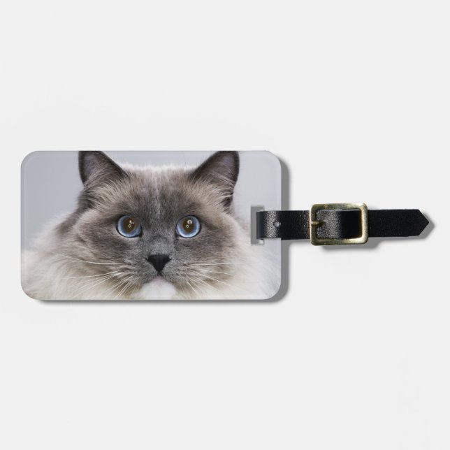Porträt von Ragdoll Katze Gepäckanhänger (Vorderseite horizontal)