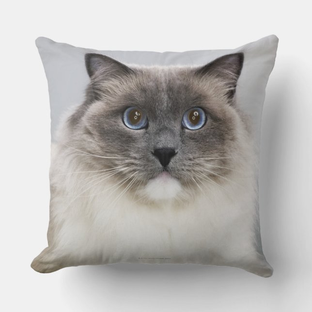 Porträt von Ragdoll Katze Kissen (Vorderseite)