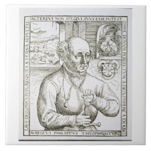 Porträt von Theothrastus Paracelsus (1493-1541), Fliese