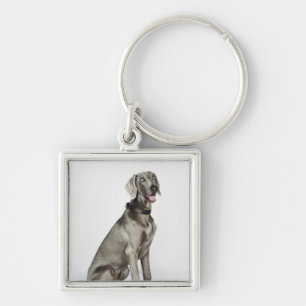 Porträt von Weimaraner Hund Schlüsselanhänger