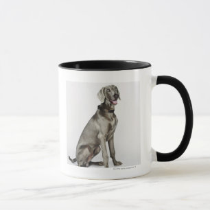 Porträt von Weimaraner Hund Tasse