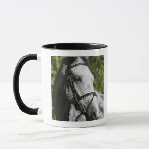 Porträt weißen Pferds 2 Tasse