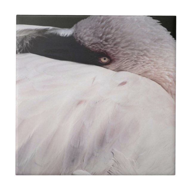 Porträt-Zeichnungseffekt Kunst Rosa Flamingo Fliese (Vorderseite)