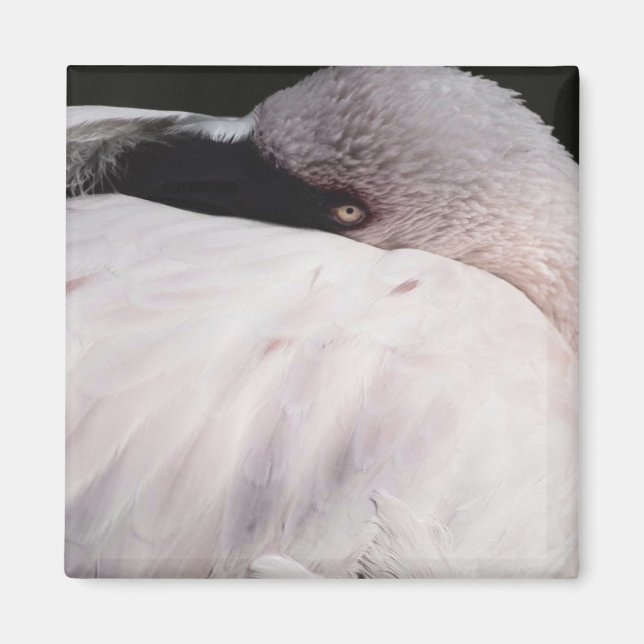 Porträt-Zeichnungseffekt-Kunst rosa Flamingo Magnet (Vorne)