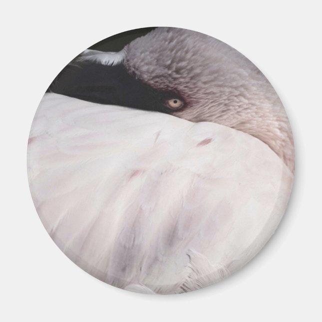 Porträt-Zeichnungseffekt Kunst Rosa Flamingo Magnet (Vorne)
