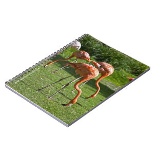 Porträt-Zeichnungseffekt Kunst Rosa Flamingo Notizblock