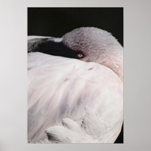 Porträt-Zeichnungseffekt Kunst Rosa Flamingo Poster