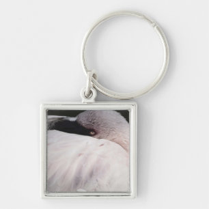 Porträt-Zeichnungseffekt Kunst Rosa Flamingo Schlüsselanhänger