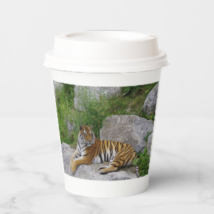 Porträtfoto eines Sibirischen Tigers Pappbecher