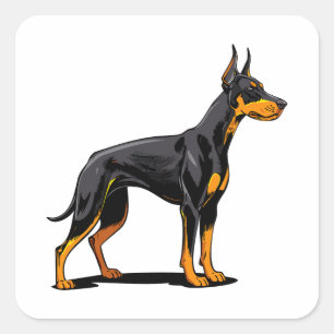 Porträts eines Dobermann-Hundes Vorderansicht Quadratischer Aufkleber