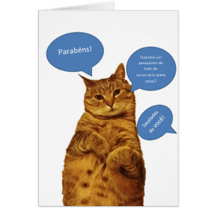 Portugais : Aniversario - Gato