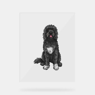 Portugais Water Dog Cute Dog Art