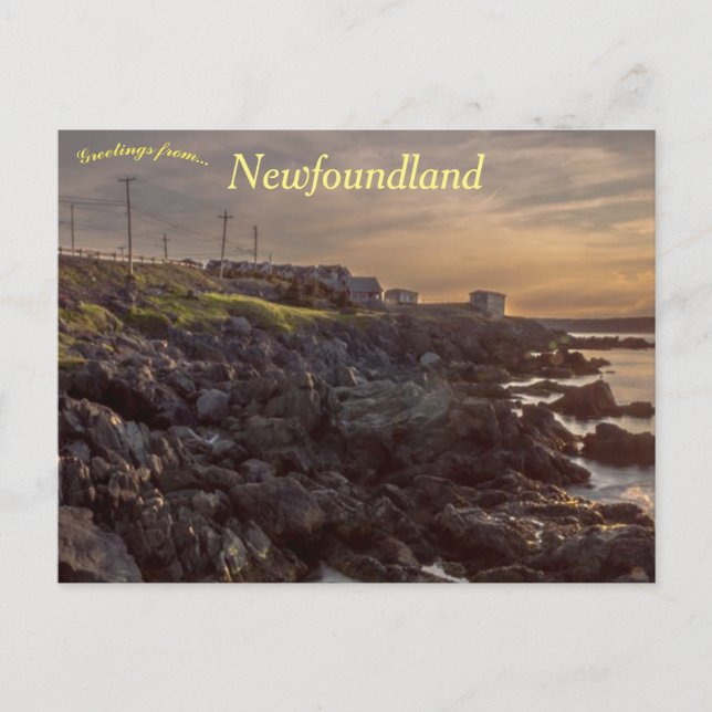 Portugal Cove Newfundland Kanada Postkarte (Vorderseite)