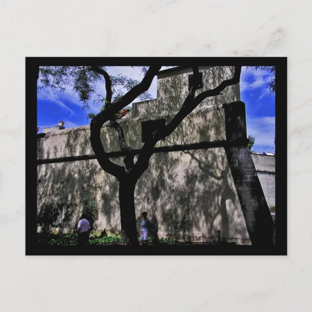 (Portugal) Funchal, Madeira Postcard Postkarte (Vorderseite)