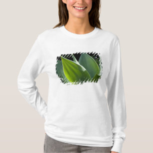 Portugal, Madeira, Funchal. botanisch T-Shirt