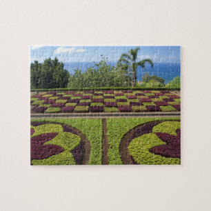 Portugal, Madeira-Insel, Funchal. Botanisch