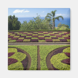 Portugal, Madeira Insel, Funchal. Botanisch Magnet