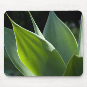 Portugal, Madeira Insel, Funchal. Botanisch Mousepad
