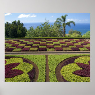 Portugal, Madeira Insel, Funchal. Botanisch Poster