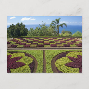 Portugal, Madeira Insel, Funchal. Botanisch Postkarte