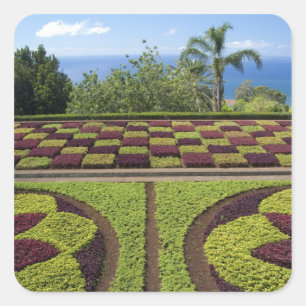 Portugal, Madeira-Insel, Funchal. Botanisch Quadratischer Aufkleber