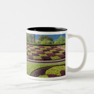 Portugal, Madeira Insel, Funchal. Botanisch Zweifarbige Tasse