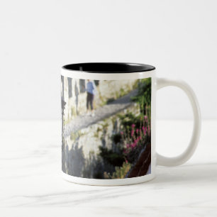 Portugal, Obidos. Eisernes Straßenlaterne und 14. Zweifarbige Tasse