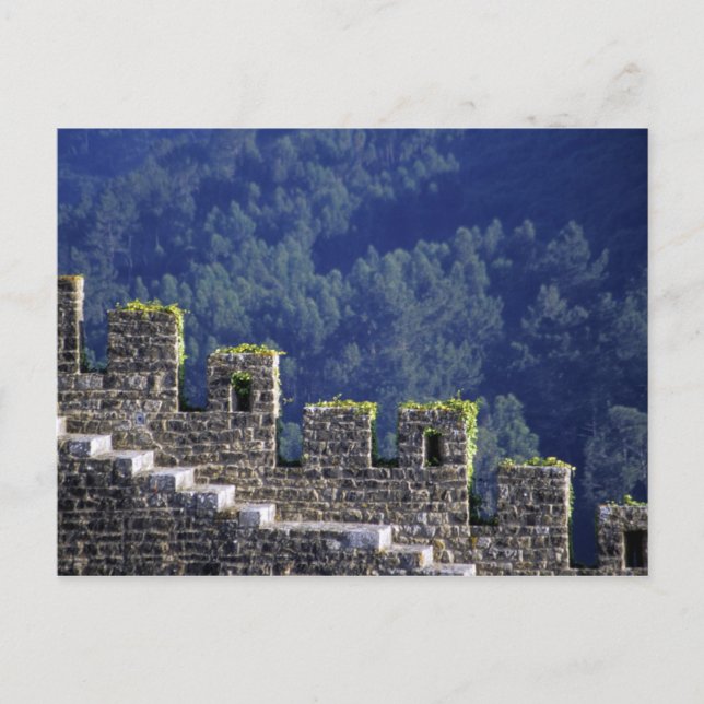 Portugal, Obidos Stufen durch verzinkte Wände Postkarte (Vorderseite)