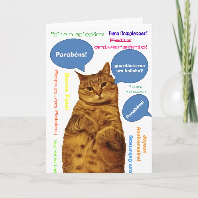 Portugiese: Parabene! alberne Katze Karte (Vorderseite)