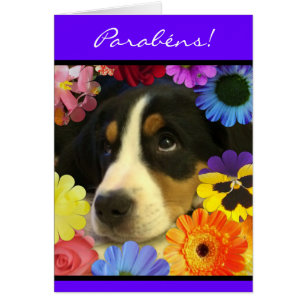 Portugiese: Parabene cachorrinho