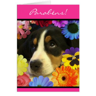 Portugiese: Parabéns- Foto de Cachorrinho