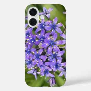 Portugiesische Squill-Blume Schließen Naturschutzg iPhone 16 Hülle